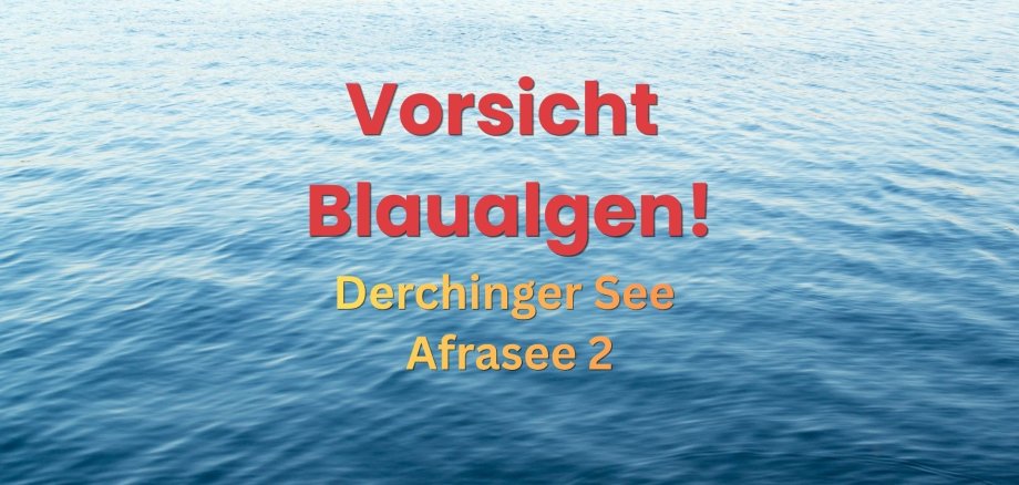 Blaualgen Homepage - 1 Blaualgen Homepage - 1