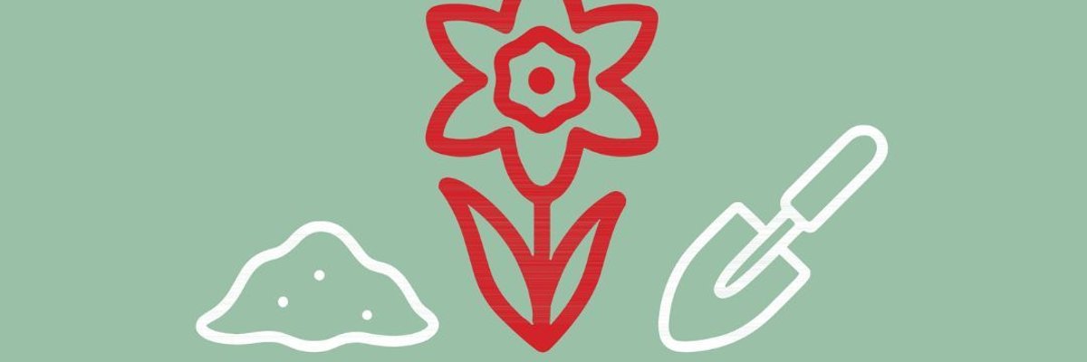 Design ohne Titel - 1 Design ohne Titel - 1